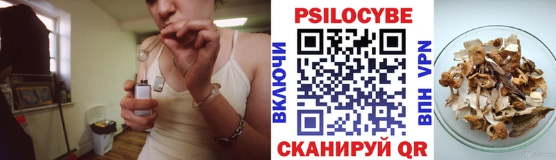 Псилоцибиновые грибы GOLDEN TEACHER  Курчатов 